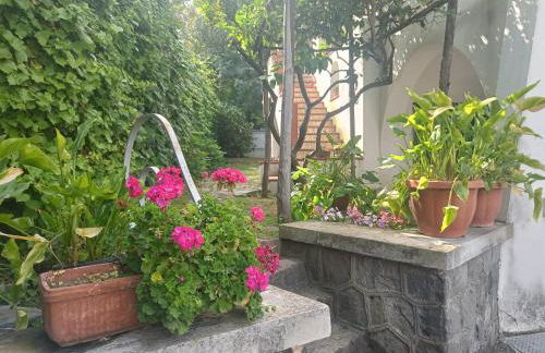 Casa Olivella - Foto 43