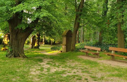 Stilvolle Ferienwohnung im Eichsfeld - Foto 27