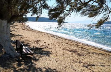 Figs & Grapes * Cosy small house * Marmari * South Evia - Foto 28