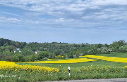 Feriendomizil-Vulkaneifel - Foto 48