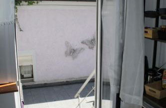 Caro Apartment B - Foto 9