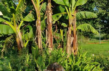 Longère de charme - Foto 25