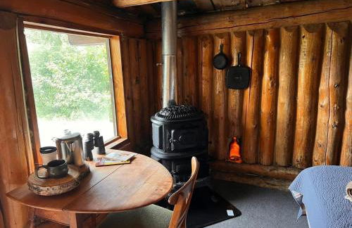 Historic Chulitna River Lodge - Foto 59