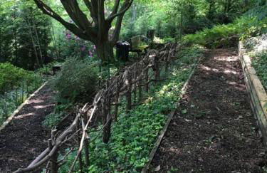 The Nuthatch Cabin - Asheville Tiny Home near the Smokie Mountains! - Foto 20