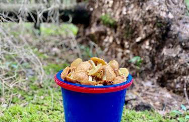 Dom Dwa Jeziora - Augustów - Photo 46