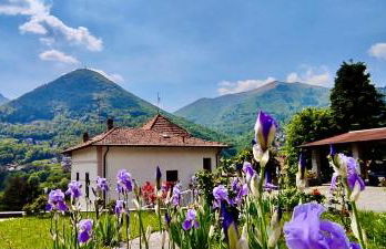 Villa Oleandra with Garden&Swimming pool - Foto 52