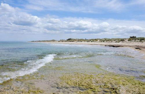 Casa EmiSa - Foto 17