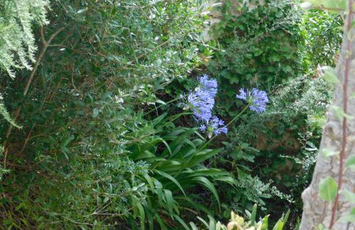 Apart.Can Pons,con piscina, a 50 de la playa - Foto 25