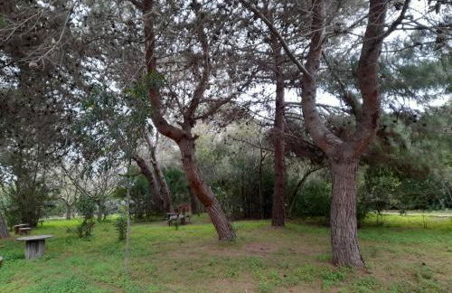 Casetta MaCa fronte mare - Foto 57