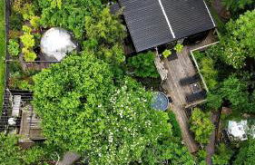 Natures Edge Cabin - Photo 1