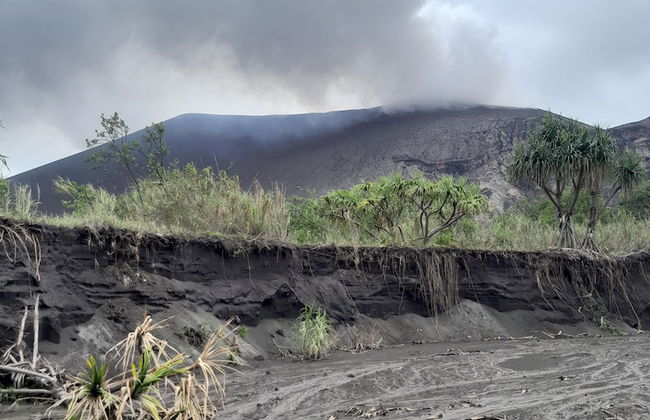 Glowing Mountain view tree house - Photo 54