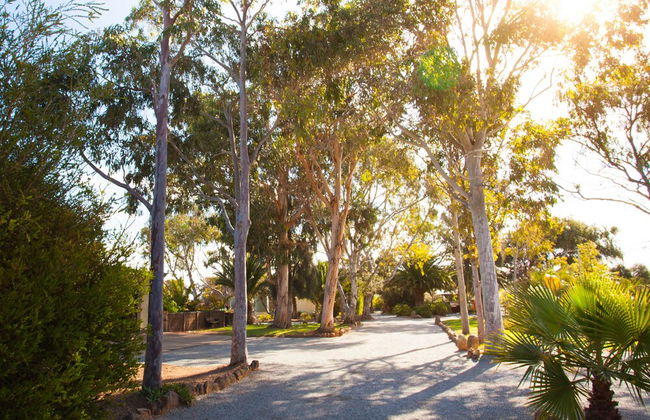 Modra's Apartments - Photo 28