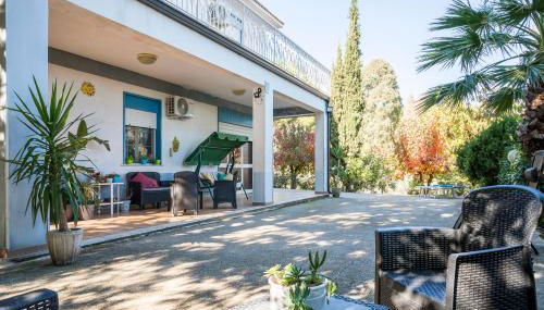 Valateddi - Foto 2, Garden, Garden view