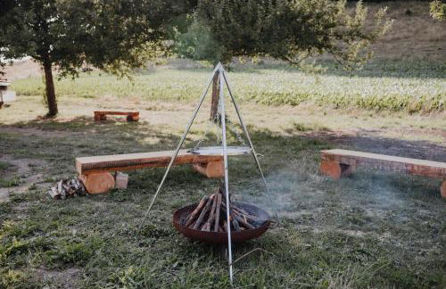 BodenSEE Apartment Neukirch Goppertsweiler HASE - Foto 9