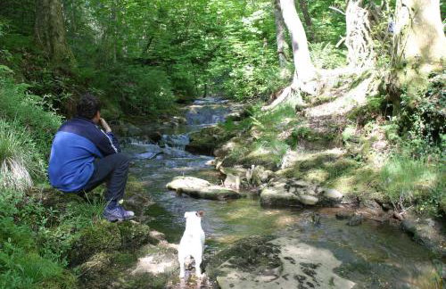 Swansea Valley Holiday Cottages - Foto 79