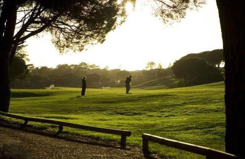 Sunny Lounge Apartment - Photo 21