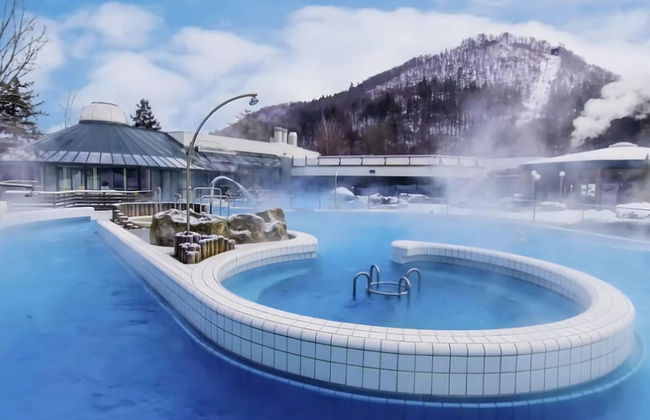 Cosy Apartment in Bad Harzburg With Garden - Foto 18