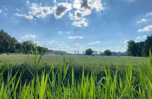 Spreewaldhaus Raddusch, Boote- Fahrräder gratis - Foto 10