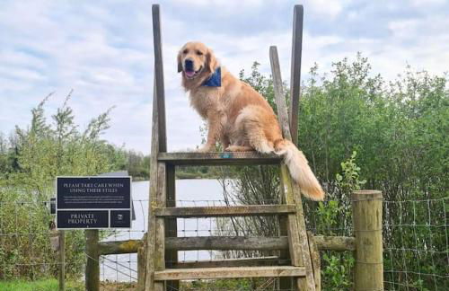 Cosy Cotswold Cottage - Jacobs Cottage - Foto 30