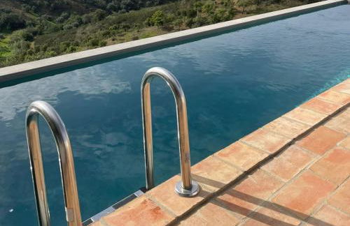 Natur Amêndoa - Foto 17