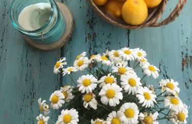 CAN PEP MAYANS - Foto 8