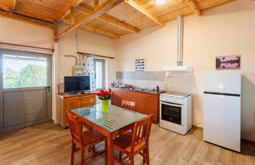 Makarounis Athanasios Traditional Apartments(Ξενώνας) - Foto 43