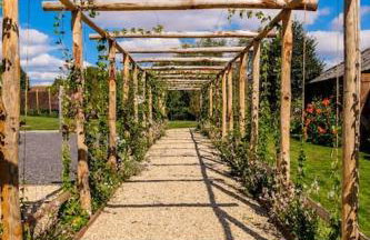 Medieval Manor House - Foto 42