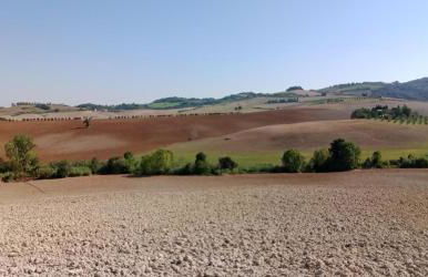 Casa Rosa Marina di Cecina - Foto 30