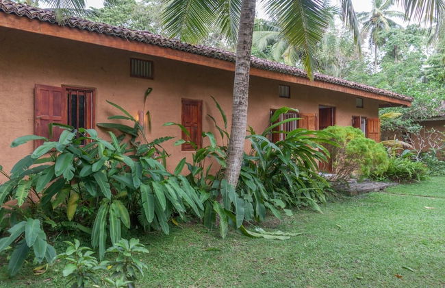 Bungalow Sud - Foto 25