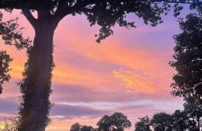 Gîte des champs étoilés - Photo 20