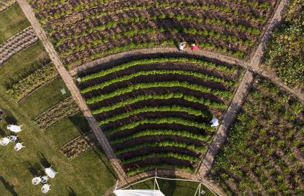 La Pampa Relais & Spa - Foto 63