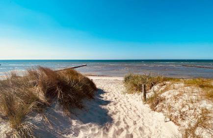 Haus Sansibar auf Poel mit Sauna& Kamin, ruhigem Garten-700m vom Strand! - Foto 34