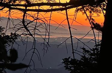 Forest cottage top of the world - Foto 54