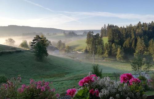 Haus Erlenmoos - Foto 11