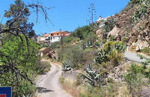 Casa Rural LOS PINARES El Juncal de TEJEDA - Foto 31