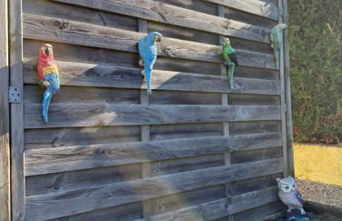 2 logements séparés 2 et 5 couchages au Rez-de-Chaussée à Chambretaud, 5 min Puy du Fou - Photo 57