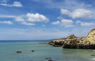 Jeannie's Oura Estrela - Foto 4