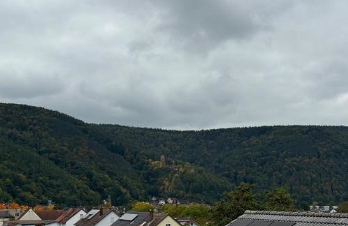 2 Zimmer Dachwohnung mit Burgblick und Kingsize Bett - Foto 22