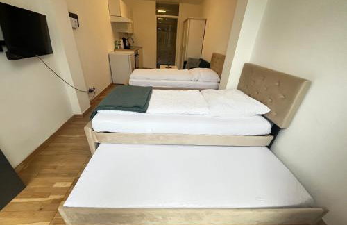 Baadenbergerstay B - Foto 6