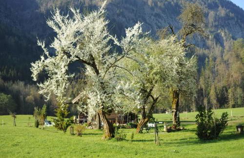 Hansenbauernhof inkl. Chiemgaukarte - Foto 8