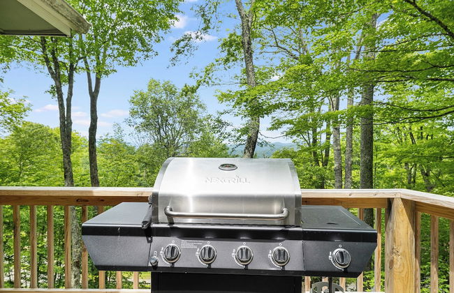 Deck w/ Forest Views, Ping Pong Blue Ridge Mtn Escape Ash Vale by Avantstay - Foto 30