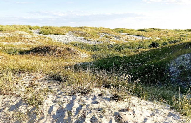 5 Star Holiday Home in Ystad - Foto 21