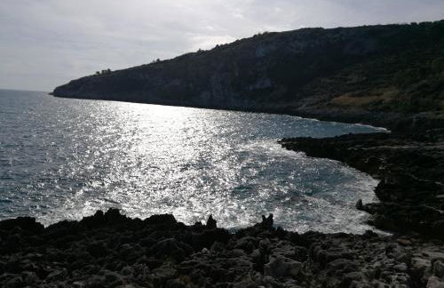 Sant'Andrea - Foto 25