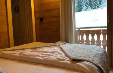 La Rose des neiges à Châtel - Foto 13