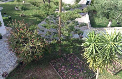 Smile's Studios - Photo 57