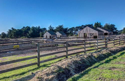 Wild Meadow - Foto 9