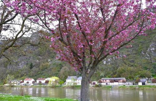 Le banc sous les tilleuls - Foto 23