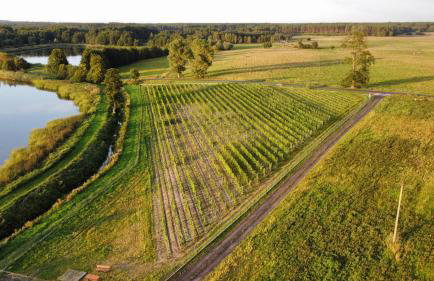 Port Stobno - Portowe Domki przy Winnicy - Foto 39