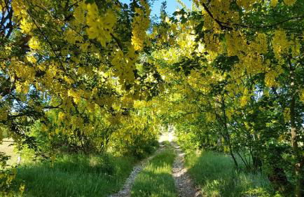 Agriturismo Fattoria Ca Di Sole - Photo 24