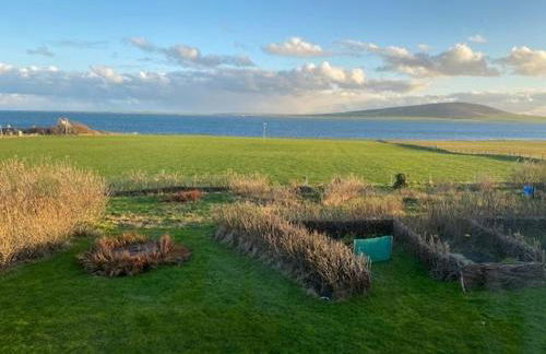 Mou Ness, Firth, Orkney - OR00636F - Foto 27